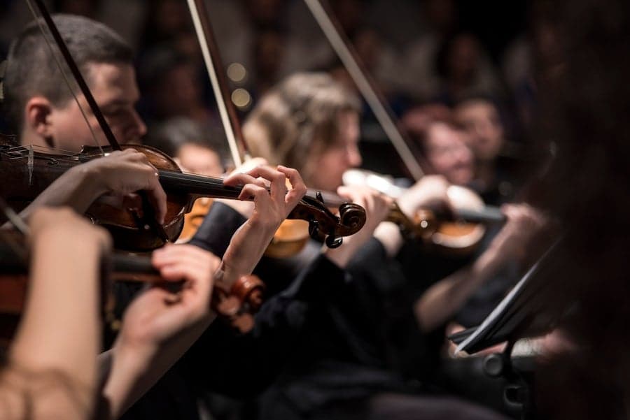 The Velvet Strings — String Quartet
